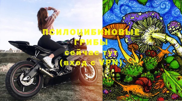 каннабис Белокуриха