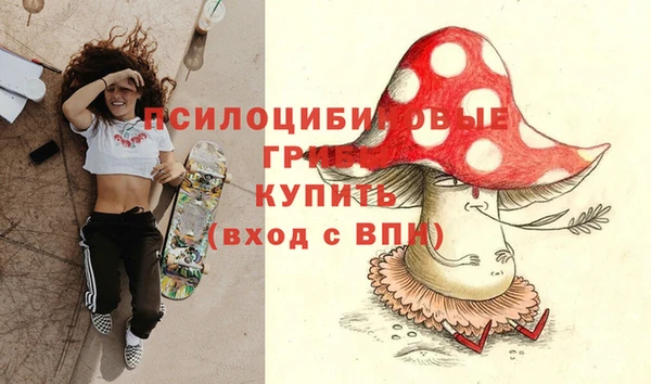 ешки Беломорск