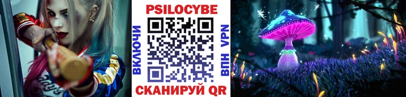 Псилоцибиновые грибы Psilocybe ссылка на мегу ссылка Кумертау